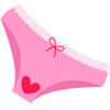 Random Girl's Panties