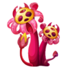 Weird looking fungus