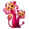 Weird looking fungus