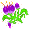 Weird looking flower