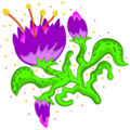 Weird looking flower